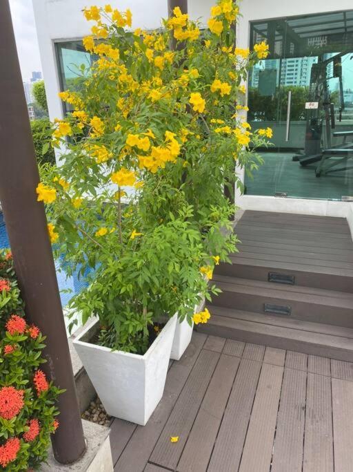 Delightful Condo In Central Location At Sukhumvit 49 Bangkok Dış mekan fotoğraf